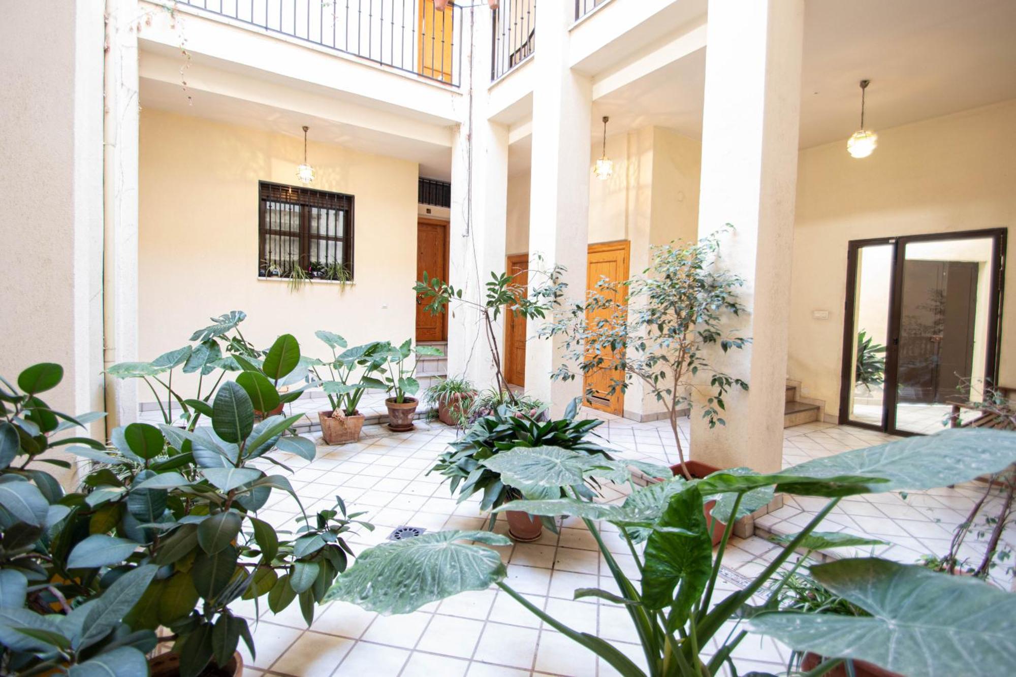 גרנדה Elvira 54 Apartment מראה חיצוני תמונה