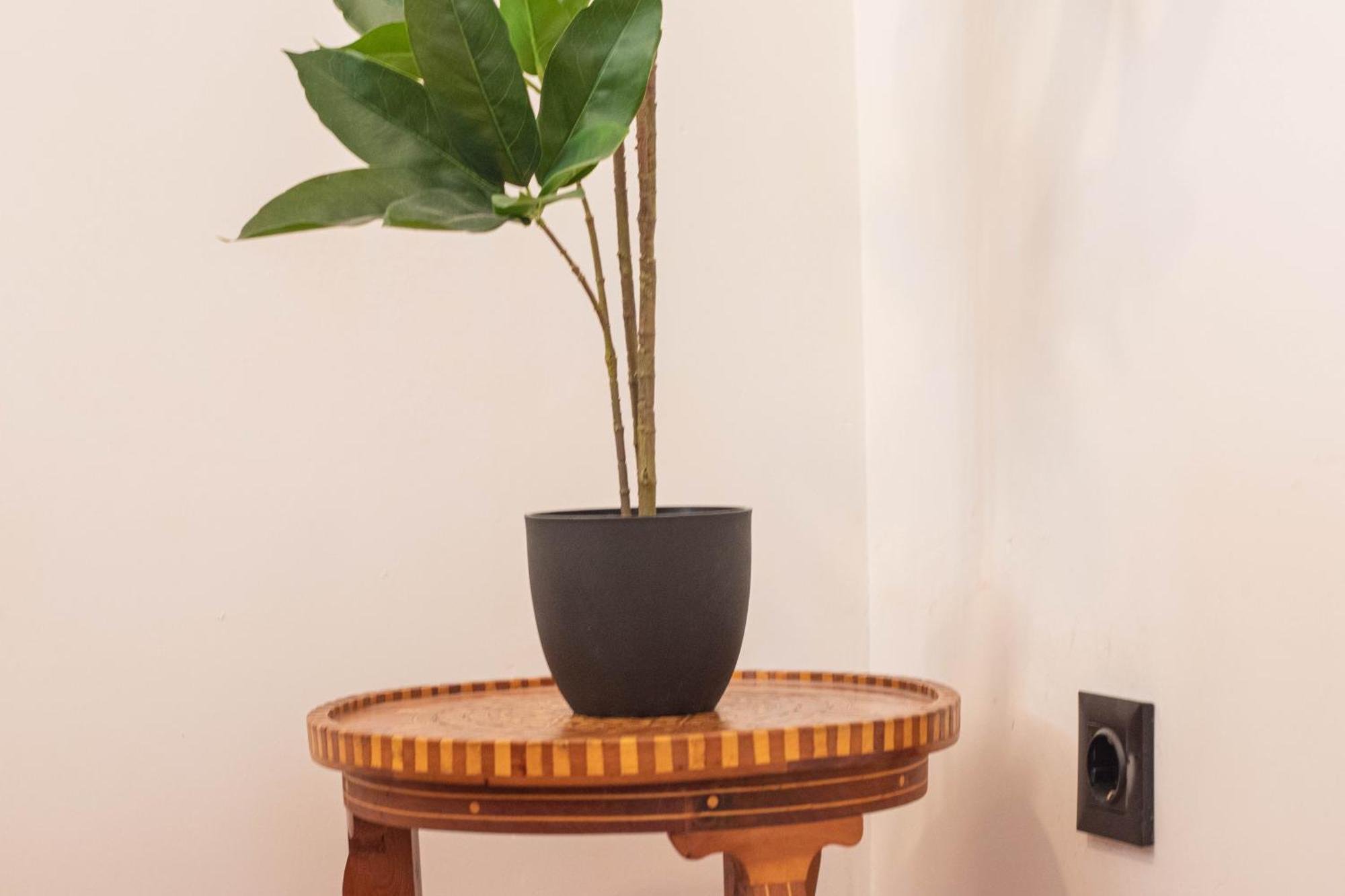 גרנדה Elvira 54 Apartment מראה חיצוני תמונה